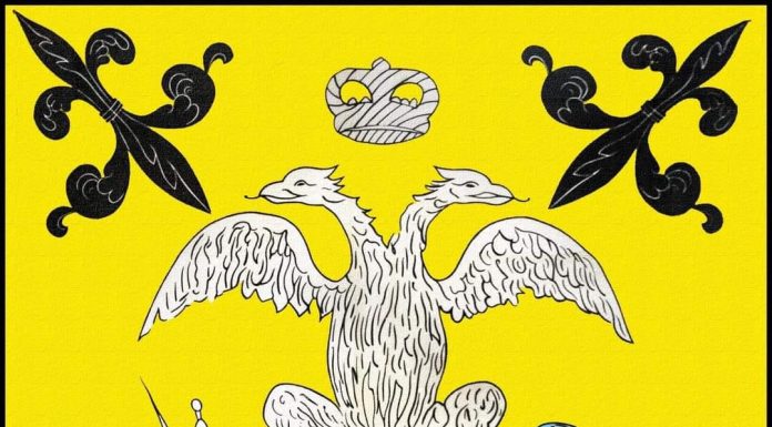 Linea Assistenza sas e Cosmogas srl saranno sponsor ufficiali di Magistratura di San Michele