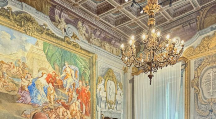 Mimosa Boreale per le Donne