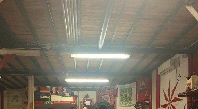 20 settimane al Gioco